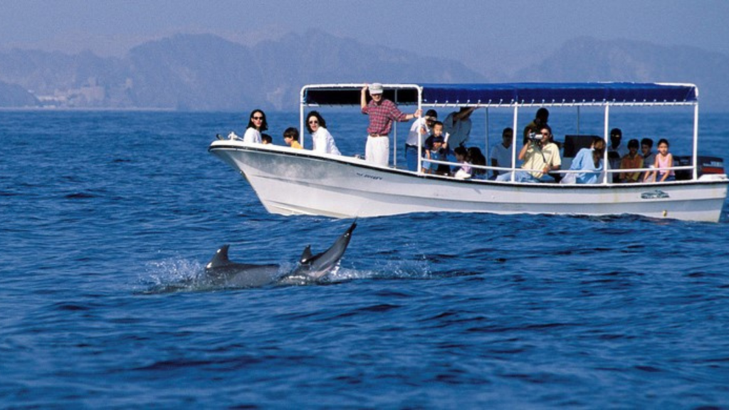 DOLPHIN WATCHING